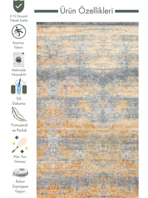 Carpetdocia Smooth Yıkanabilir Kaymaz Parlak Oturma Odası Salon Koridor Ince Dokuma Modern Halı 01 Terra Xw