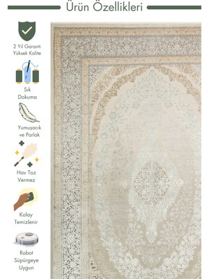 Carpetdocia Mumbai Serisi Klasik Desenli Yüksek Kalite Sık Dokuma Parlak Salon Halısı 08 Cream Grey