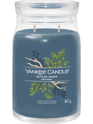 Yankee Candle Bayside Cedar Signature Büyük Mum