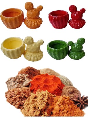 Uğur Böceği Ticaret 4 Adet Kaktüs Model Baharatlık - Sunumluk