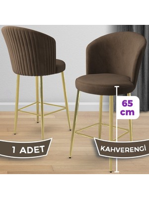 Canisa Alte Serisi 1 Adet Babyface Kumaş 65 cm Gold Kaplama Ayaklı Bar Sandalyesi