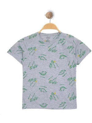 Kodex 3-7 Yaş Çocuk Tişört Griyeşil