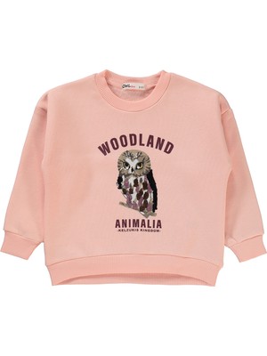 Civil Girls Kız Çocuk Sweatshirt 2-5 Yaş Pudra