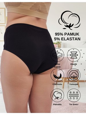 Alya Underwear Kadın Büyük Beden Yüksek Bel Külot Full Brief, 3'lü Paket Siyah