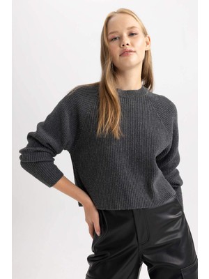 DeFacto Coool Regular Fit Bisiklet Yaka Triko Kazak L2567AZ23WN