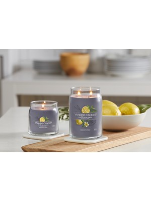 Yankee Candle Black Tea & Lemon Signature Orta Mum