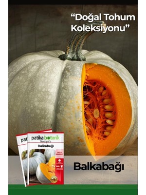 Patika Botanik 15 Adet Balkabağı Tohumu (Turuncu Etli)