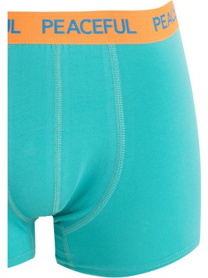 DeFacto Regular Fit 3'lü Boxer B7774AX24AU