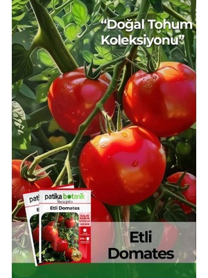 Patika Botanik 150 Adet Yerli Ata Etli Domates Tohumu (Kalın Kabuk)
