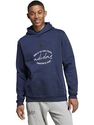 adidas BL FL HD GD Q3 Erkek  HOODY IW3567