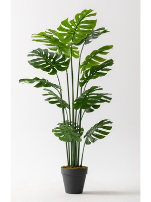 Yapay Devetabanı(Monstera) Ağacı 180 cm