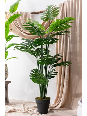 Yapay Devetabanı(Monstera) Ağacı 180 cm