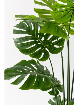 Yapay Devetabanı(Monstera) Ağacı 180 cm