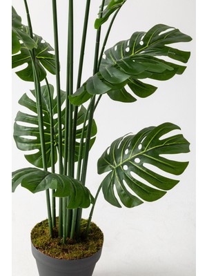 Yapay Devetabanı(Monstera) Ağacı 180 cm