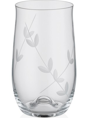 Decorium Alessa 350 ml 6 Parça Cam Meşrubat Bardağı
