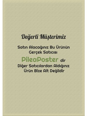 PP Handmade Pp Handmade,dekoratif Duvar Süsü Tukan Kuşu|turuncu|dekoratif Obje|duvar Dekorasyonu |duvar Objesi|dekoratif Kuş