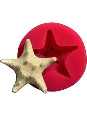 Depposite Deniz Yildizi Kokulu Taş Ve Sabun Kalıbı (5cm)