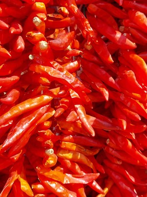 Yakan Kuru Atom Acı Yeni Mahsul 1 Dizi