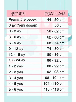 Beruflic Aslan Desenli 2'li Pamuk Erkek Bebek Takımı