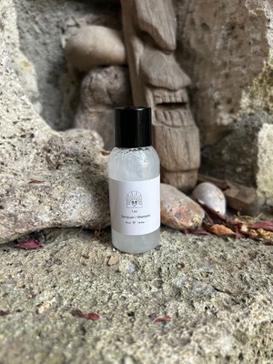 Luz Otel Tipi Şampuan 100 Adet 35 ml Tek Kullanımlık Mini Buklet Saç Temizlik Ürünü