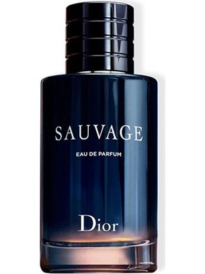 Christian Sauvage Edp 100 ml Erkek Parfüm