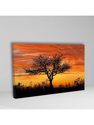 Gaagart Tekli Yatay Kanvas Duvar Tablosu Turuncu Gökyüzü Ve Ağaç