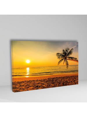 Gaagart Tekli Yatay Kanvas Duvar Tablosu Güneş Yansıması Ve Palmiye