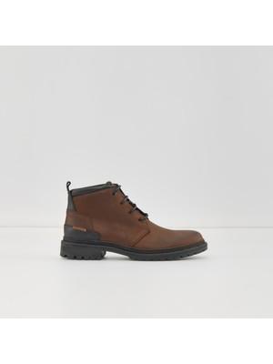 ALDO Screamıe-Tr Bot Günlük Bot - Kahve