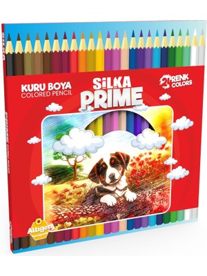 Silka Prime Karton Kutu Kuru Boya Kalemi Tam Boy 24 Renk ART.1048