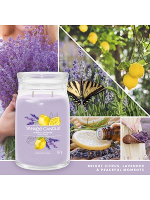 Yankee Candle Lemon Lavender Signature Büyük Mum