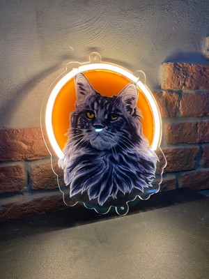 Neonite 'Kedi' Işıklı Ve Uv'li Neon Led Dekoratif Duvar Yazısı Tabelası (24x28cm)