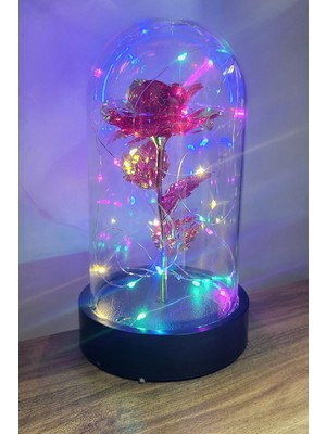 Siyah Tabanlı LED Işıklı Sevgililer Günü Solmayan Sonsuzluk Gülü Fanuslu Gece Lambası