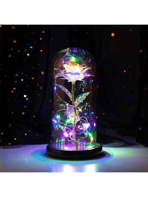 Siyah Tabanlı LED Işıklı Sevgililer Günü Solmayan Sonsuzluk Gülü Fanuslu Gece Lambası