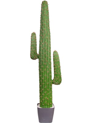 Herdekora Yapay Kaktüs Saksılı 142 Cm.