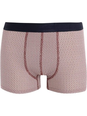 DeFacto Regular Fit 3'lü Boxer E0118AX24AU