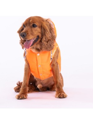 Neon Turuncu Railway Yelek Köpek Yeleği Köpek Kıyafeti Köpek Yağmurluk
