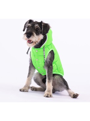 Pawstar Neon Yeşil Railway Anorak Yelek Köpek Yeleği Köpek Kıyafeti Köpek Yağmurluk