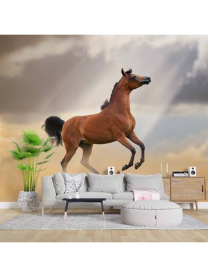 Duvar Kağıdı Baskı At Temalı