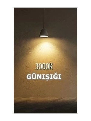 Helıos 30W LED Ray Spot Armatür Siyah 3000K