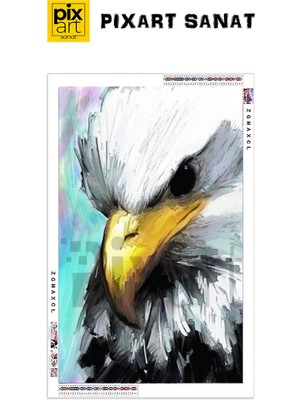 PixArt Kartal 40 x 60 Elmas Mozaik Tablo