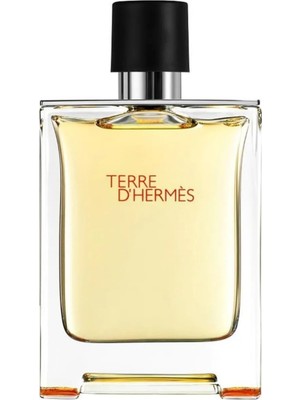 Hermes Terre D Erkek  100ML Edt
