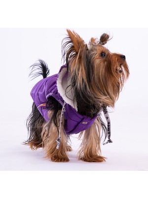 Pawstar Mor Railway Anorak Yelek Köpek Yeleği Köpek Kıyafeti Köpek Yağmurluk