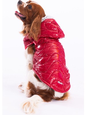 Pawstar Kırmızı Light Wave Anorak Yelek Köpek Yeleği Köpek Kıyafeti Köpek Yağmurluk