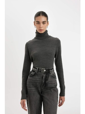 DeFacto Regular Fit Yumuşak Dokulu Balıkçı Yaka Basic Düz Triko Kazak H1651AZ24WN