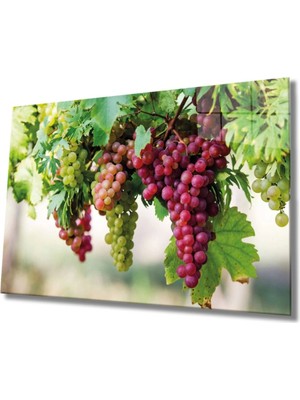 Narnuga Teknoo- Meyveler Cam Tablo 4mm Dayanıklı Temperli Cam