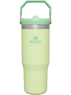 Stanley The IceFlow Flip Straw Pipetli Termos Bardak 0,89 LT Açık Yeşil