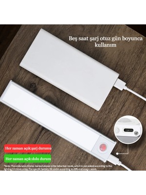 Inters Tech 60 cm Gece Lambası USB Şarj Edilen Hareket Sensörlü Kitap Okuma Mutfak Dolabı Yatak Odası Gardırop