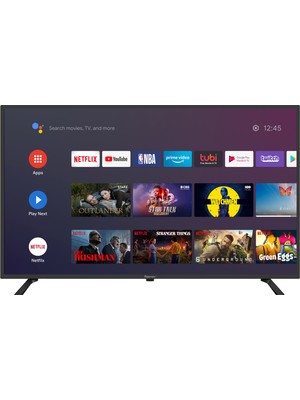 Wismann 43" 109 Ekran Uydu Alıcılı Full HD Google Android Smart LED TV