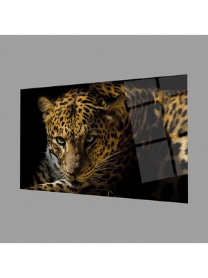 Exela Home Leopar Hayvan 4mm Dayanıklı Cam Tablo Temperli Cam, Leopard Glass Wall Decor