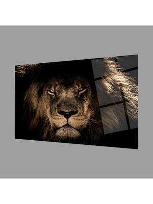 Exela Home Aslan Cam Tablo